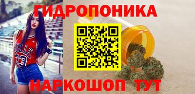 гидропоника Бердск